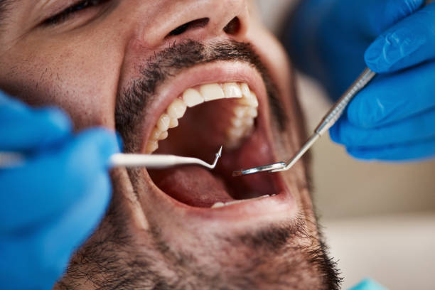 Professional Holistic Dental Care Services in Athena, OR
